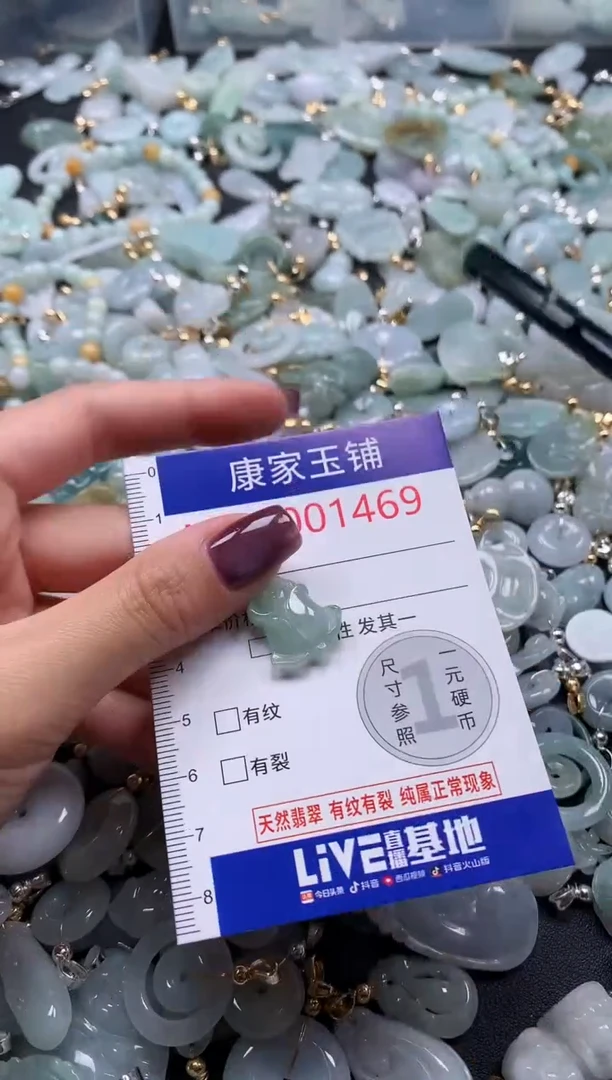翡翠未镶嵌吊坠(不含链)1469