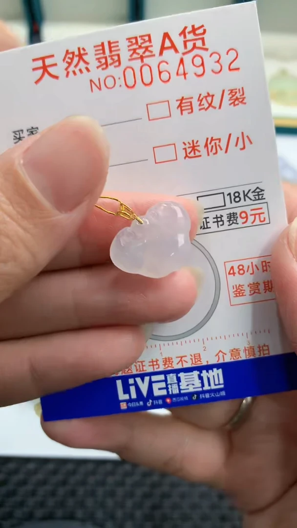 【闪购商品】翡翠颈饰18K金镶嵌            8
