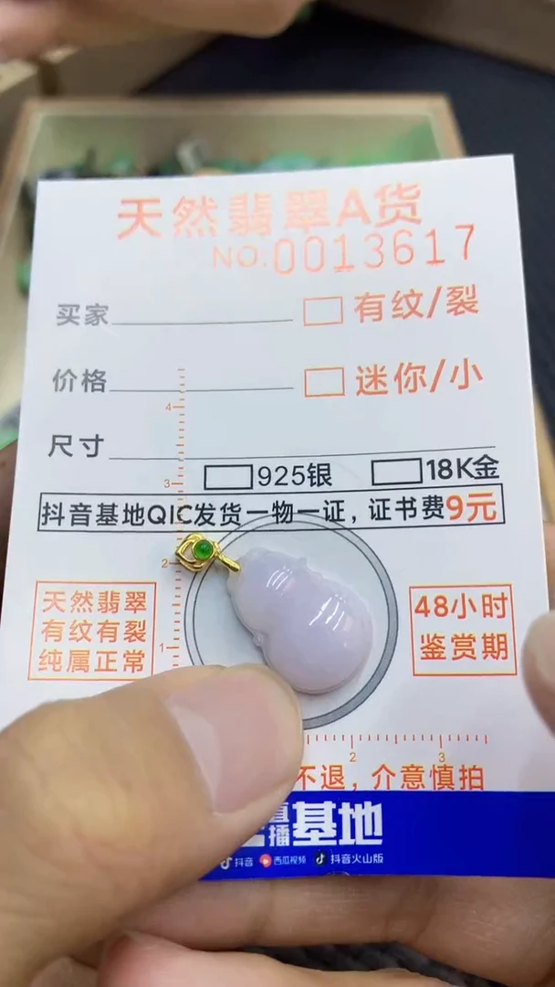 翡翠未镶嵌颈饰             1