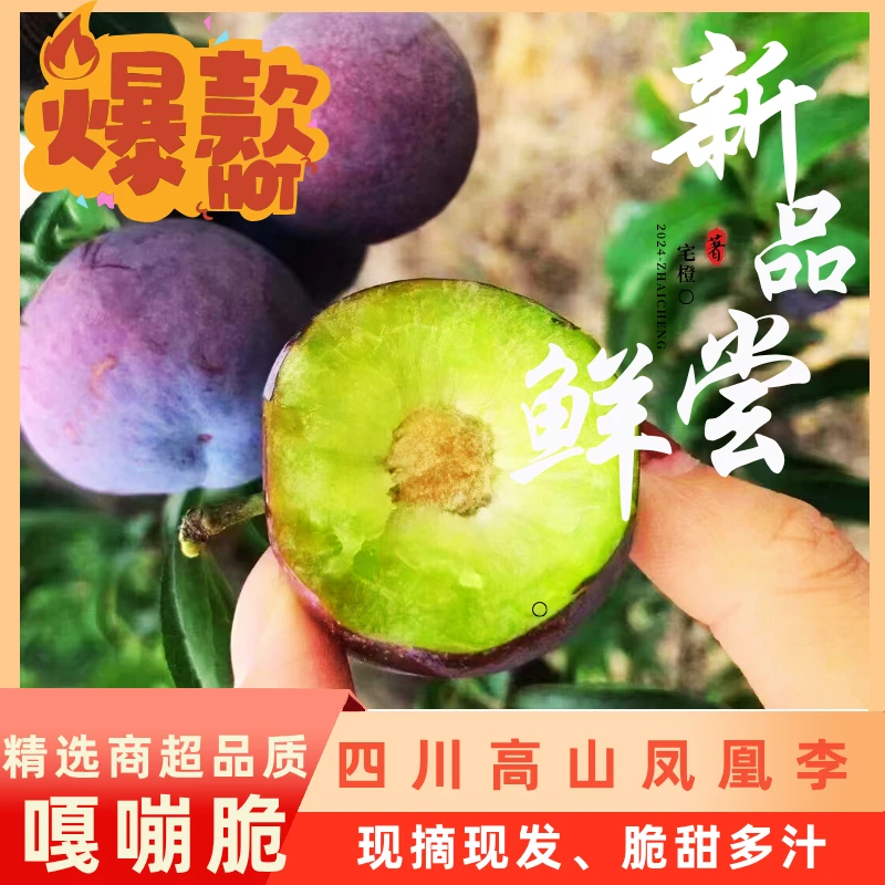 四川高山青灰凤凰李五月脆新鲜应季水果脆甜多汁净重4.5斤包邮