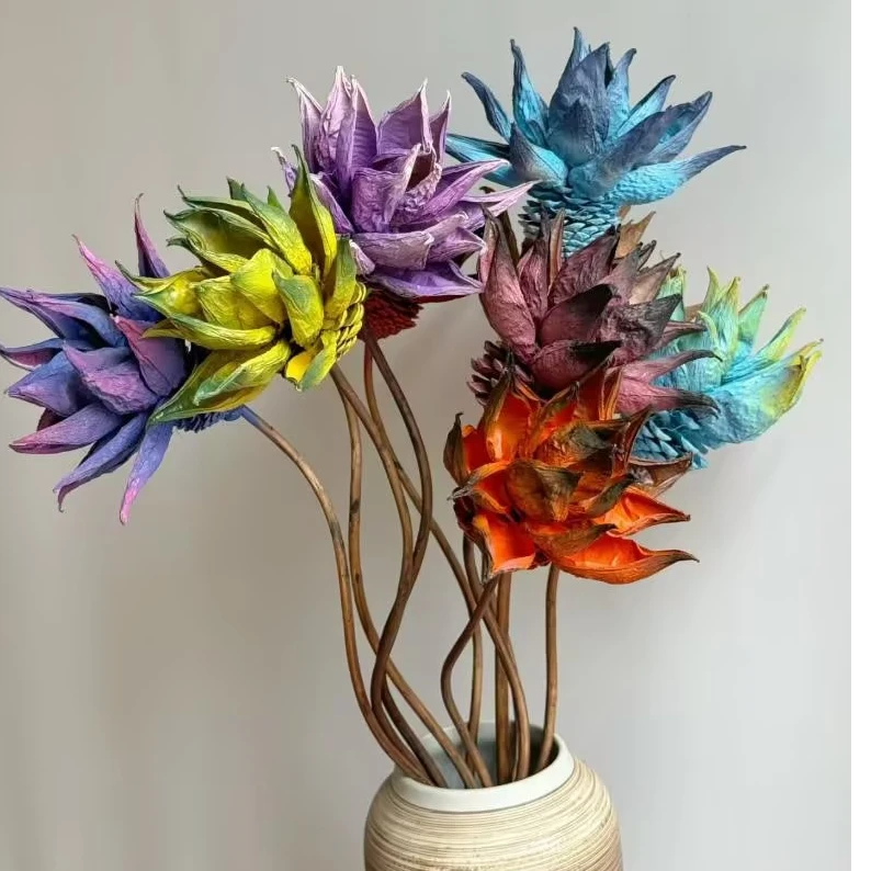 【一物一拍】520宠粉福利  果壳干花（花瓣运输可能会掉介意慎拍）