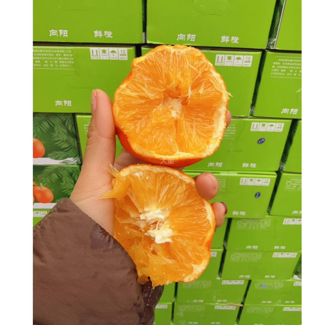 【大-董】向阳鲜橙箱装 毛重10斤左右/箱