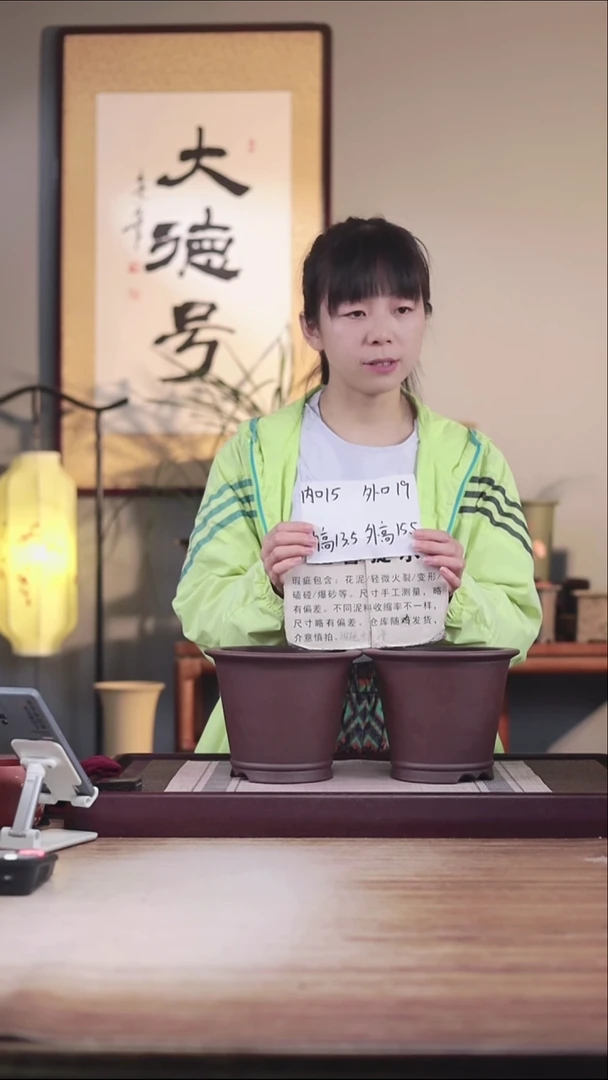 紫砂花盆瑕疵紫泥圆斗笠一对无托