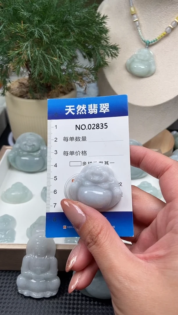 颈饰未镶嵌翡翠纯天然A货翡翠2835