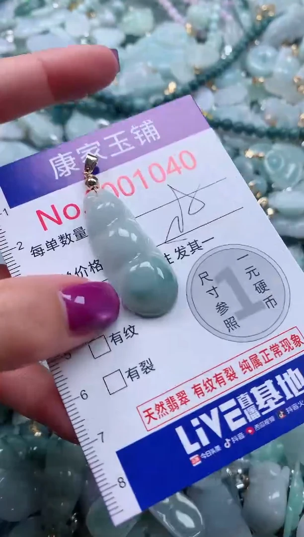 颈饰未镶嵌翡翠1040