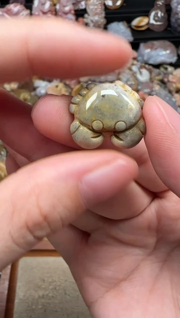 颈饰未镶嵌硅化珊瑚（珊瑚玉）566