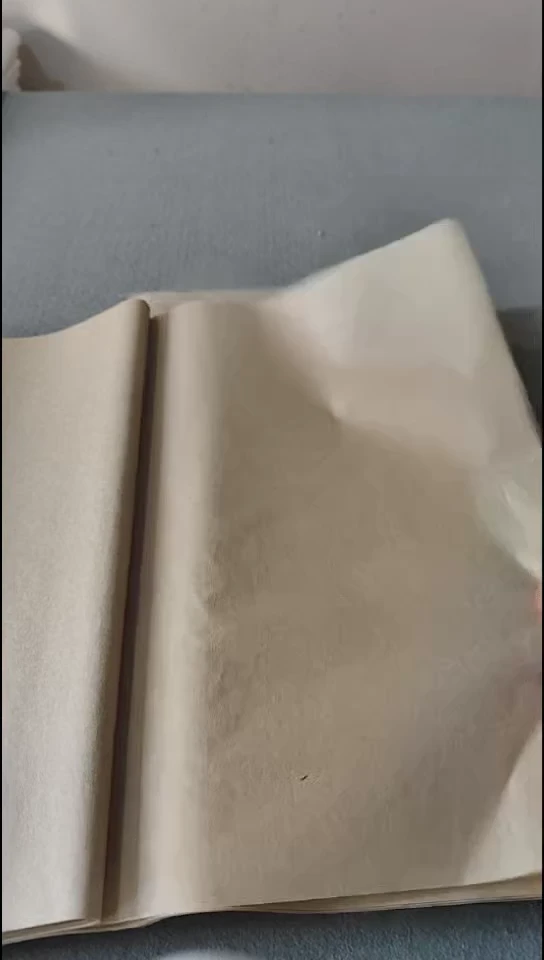 四尺四开楮皮蝉翼