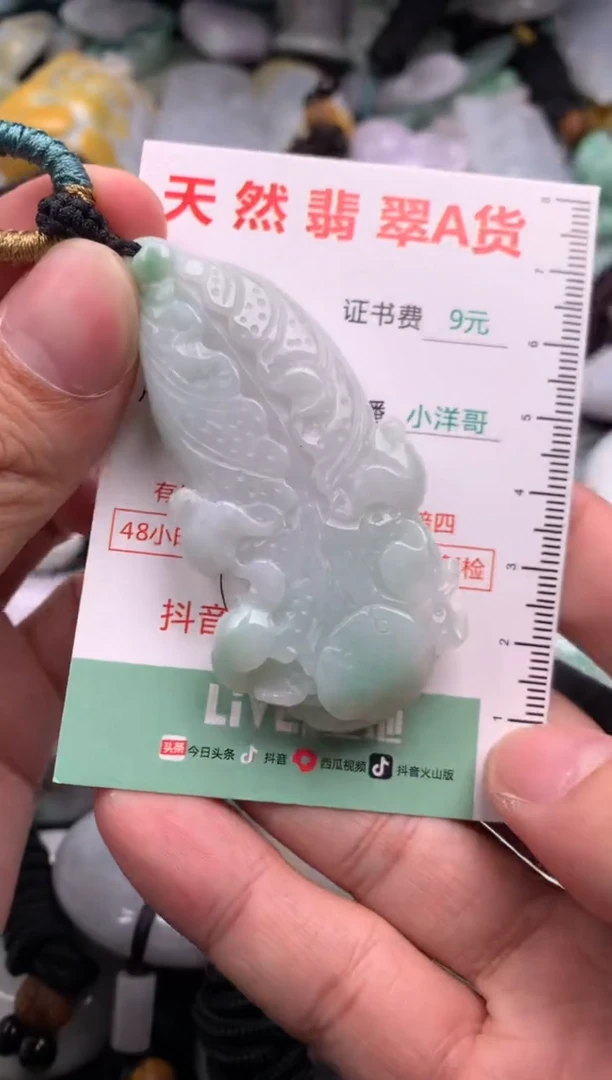 翡翠未镶嵌吊坠(不含链)1