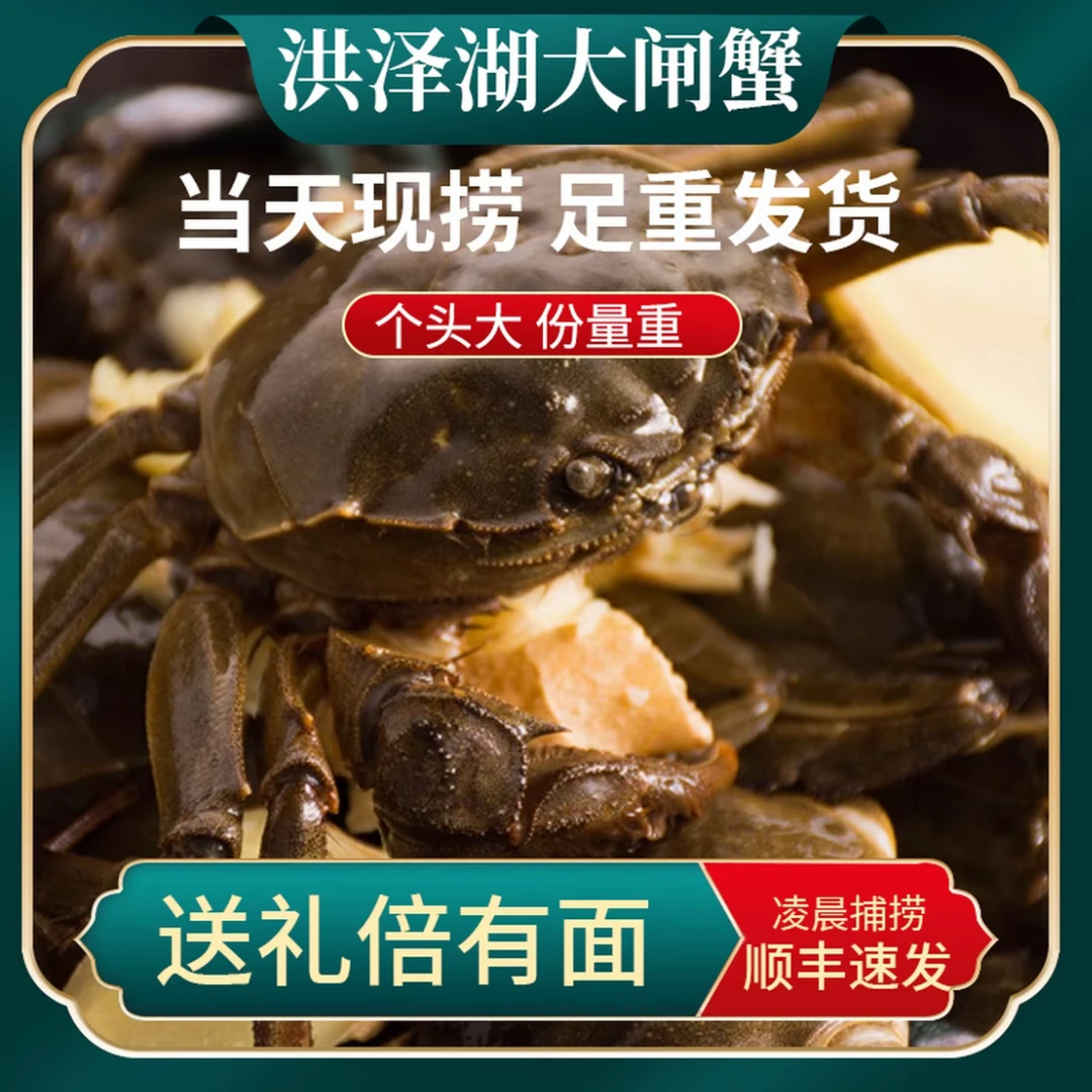 活蟹【买8只送8只】2.6-2.3两全母大闸蟹精品螃蟹顺丰包邮送礼盒装