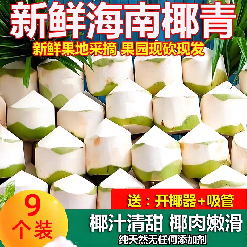 海南文昌东郊新鲜削皮椰子9个装纯天然椰青口感微酸甜坏果包赔