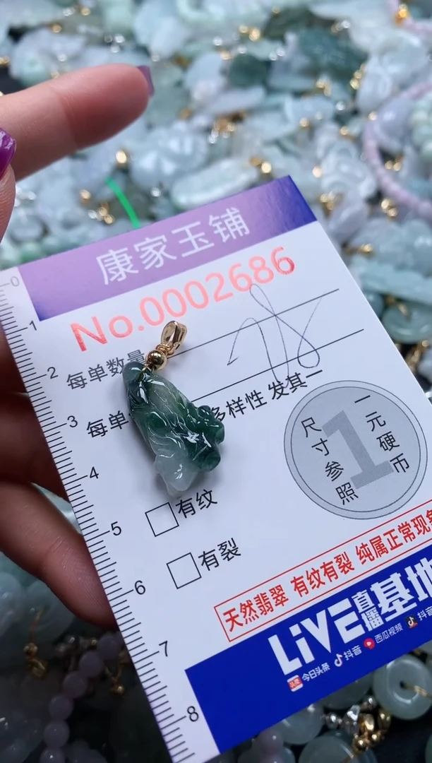 颈饰未镶嵌翡翠2686