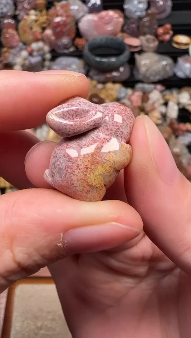 颈饰未镶嵌硅化珊瑚（珊瑚玉）203