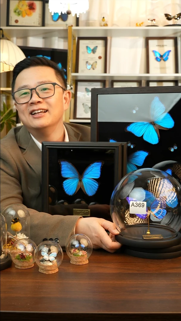 大**闲塞浦路斯闪蝶玻璃球款A369