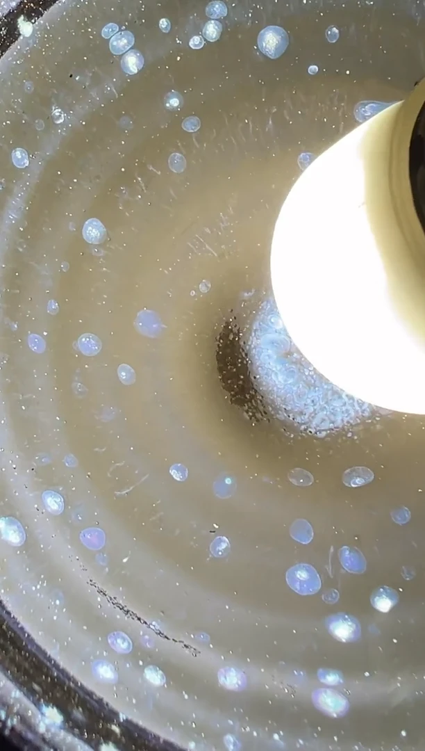 茶盏补*?61文凤窑开窑现场580