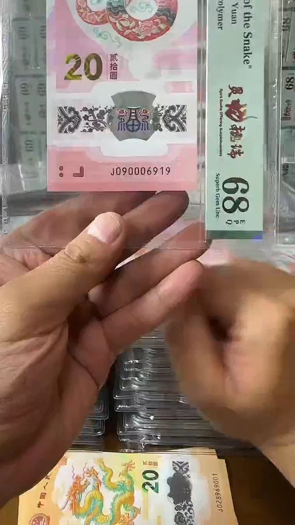塑料090006919蛇钞单张