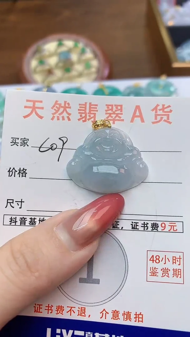 颈饰未镶嵌翡翠天然A货翡翠挂件