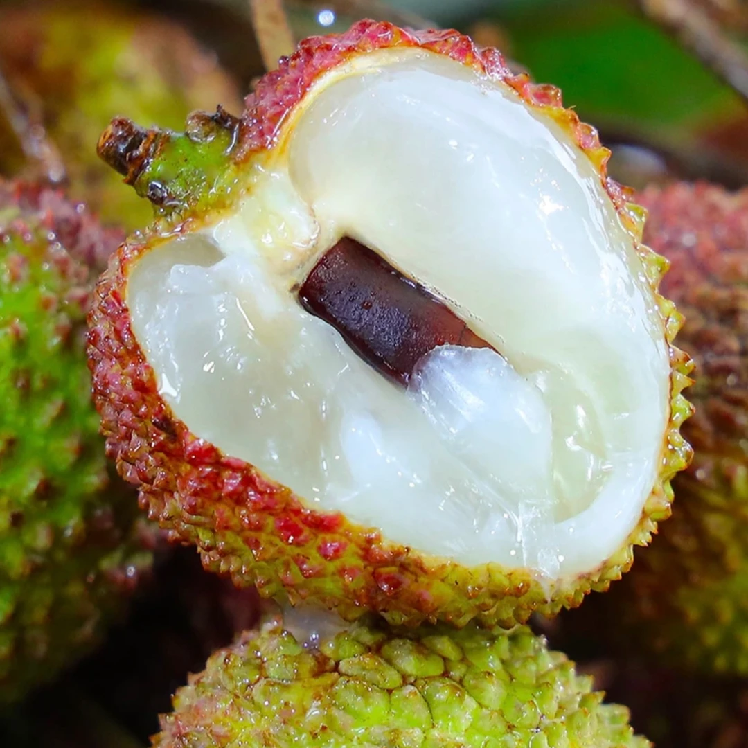 【顺丰｜京东全程冷链】海南妃子笑荔枝新鲜水果带箱5斤 多仓发货