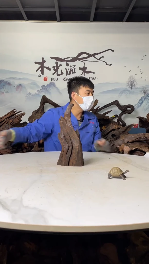 【闪购商品】a012木光沉木14/10/17