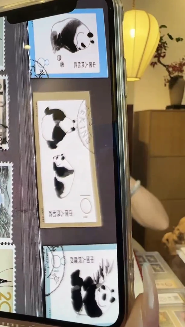 熊猫无齿全套（盖）-评级