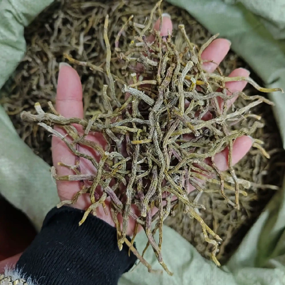 【甘肃溯源精选】精选纯野生铁皮石斛条100g