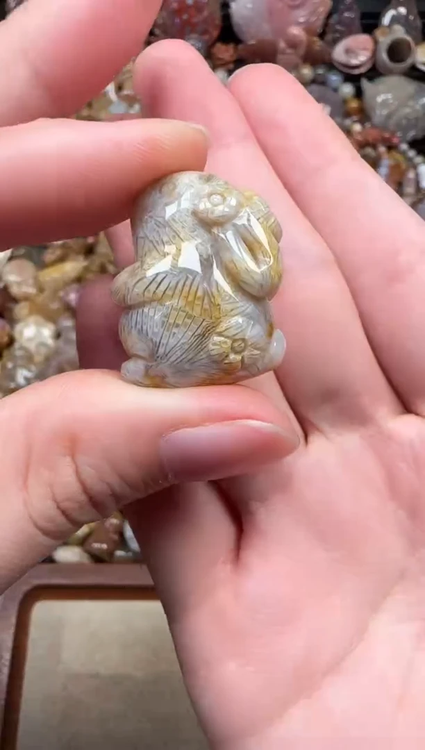 颈饰未镶嵌硅化珊瑚（珊瑚玉）039