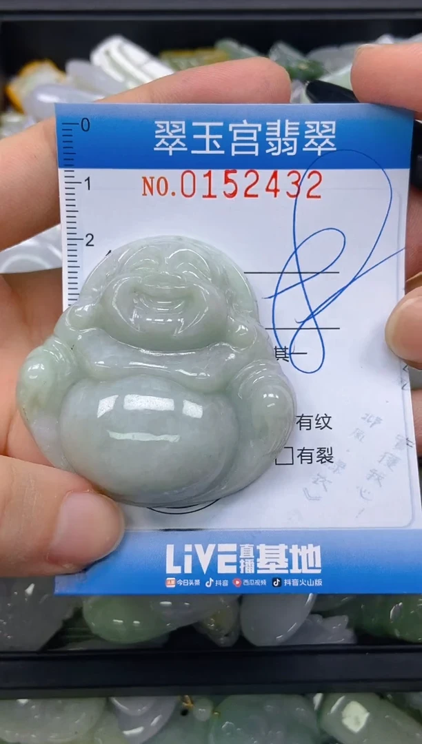 翡翠未镶嵌颈饰闪购0152432
