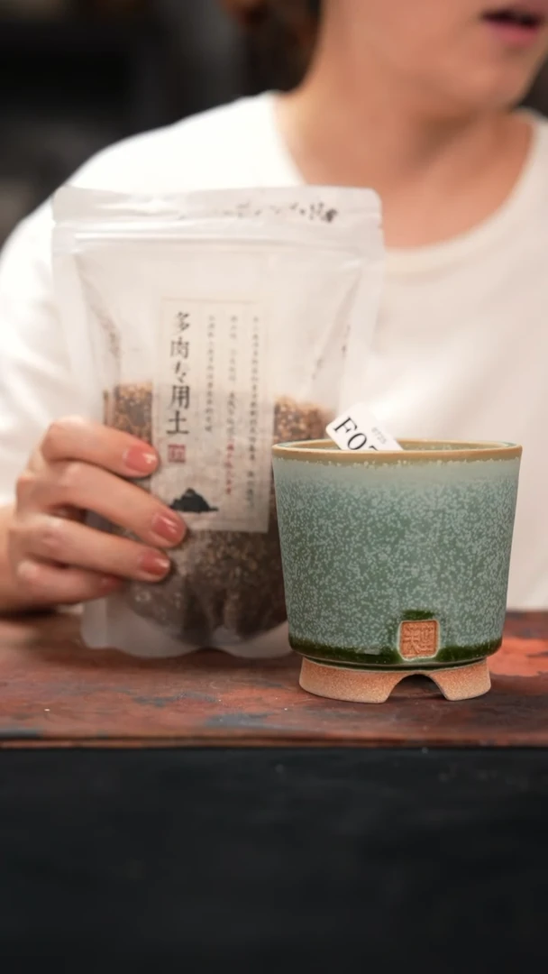 7-25-071花盆口径8赠配方土