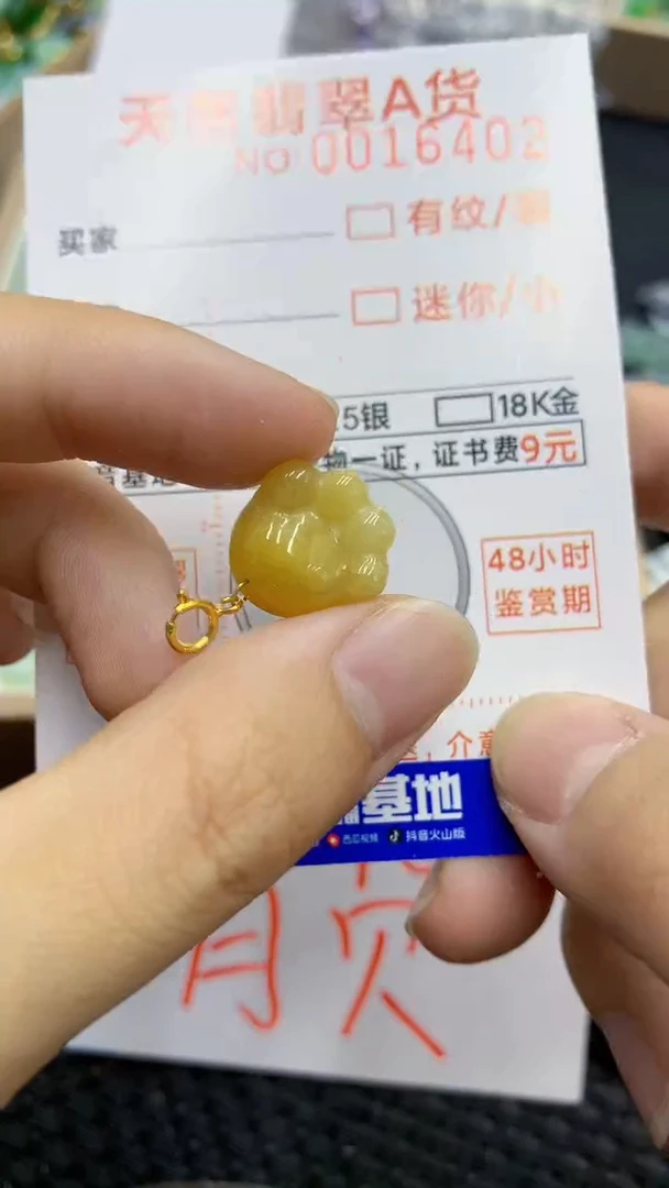 翡翠未镶嵌颈饰             8