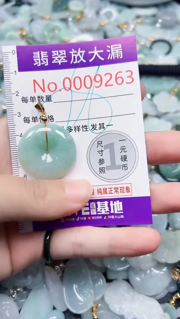 颈饰未镶嵌翡翠9263