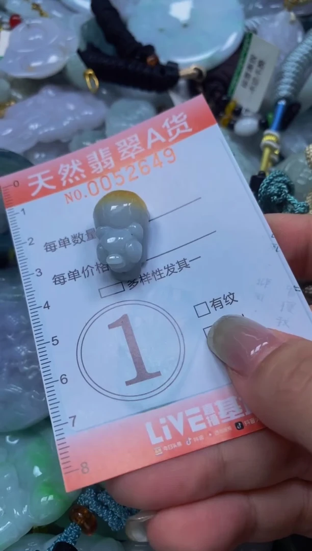 翡翠未镶嵌颈饰闪购0052649