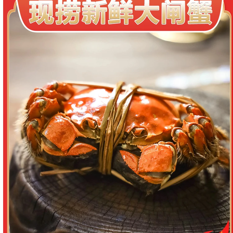 【活蟹】送2只到手10只洪泽湖大闸蟹全母蟹2.3-2.6两鲜活螃蟹现捕现