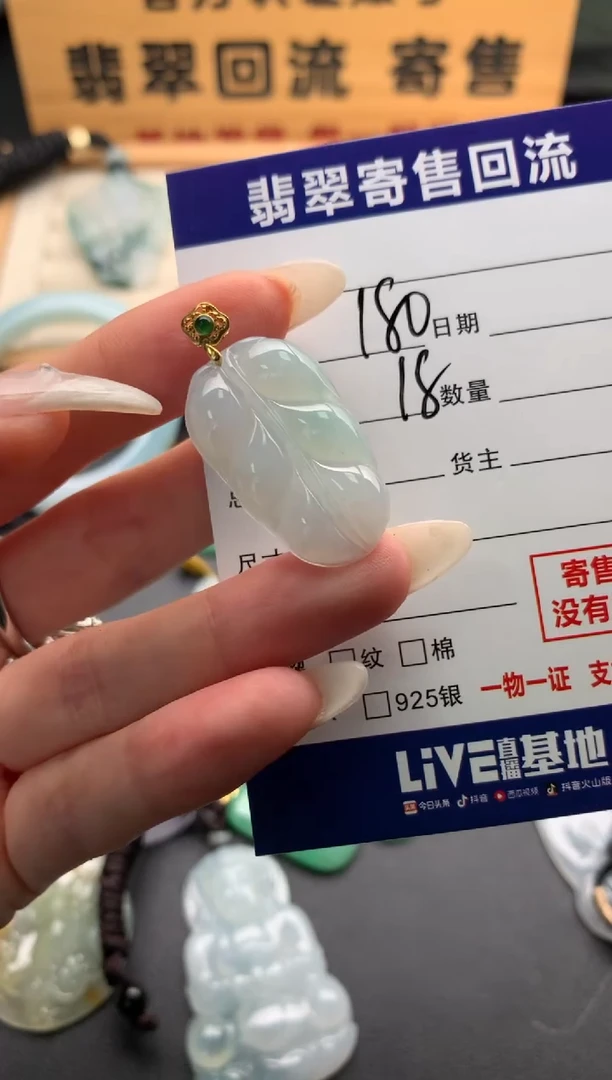 翡翠18K金镶嵌颈饰10137970