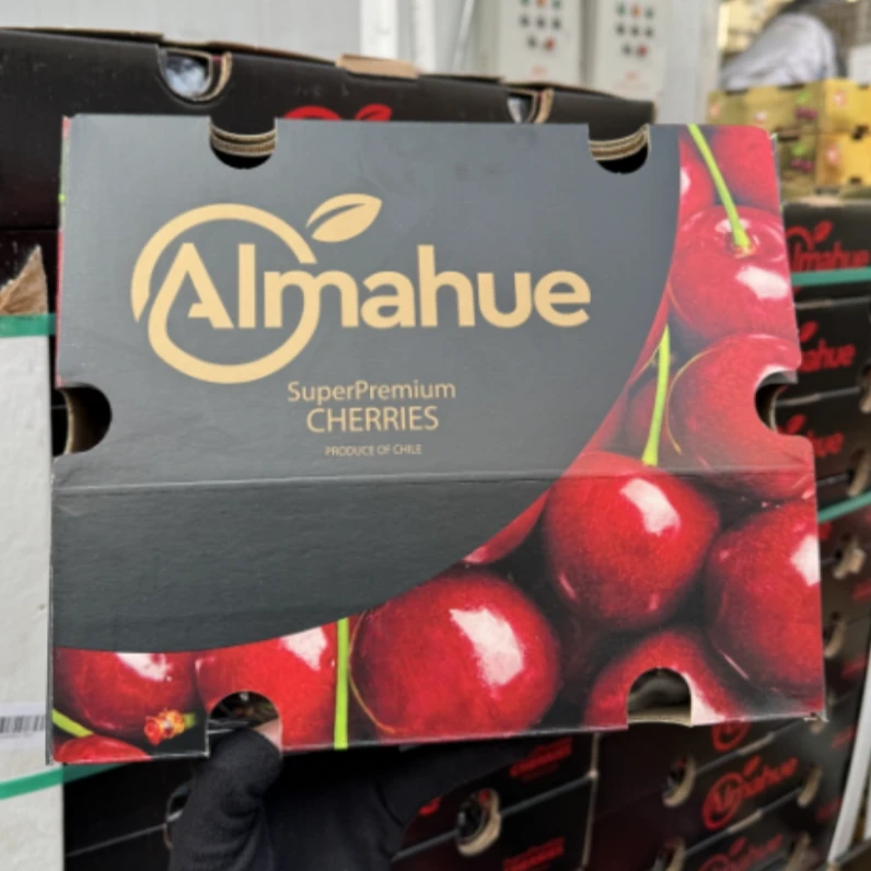 黑武士2JD海运智利车厘子 5斤/10斤桑提娜只发川渝 内附果径卡