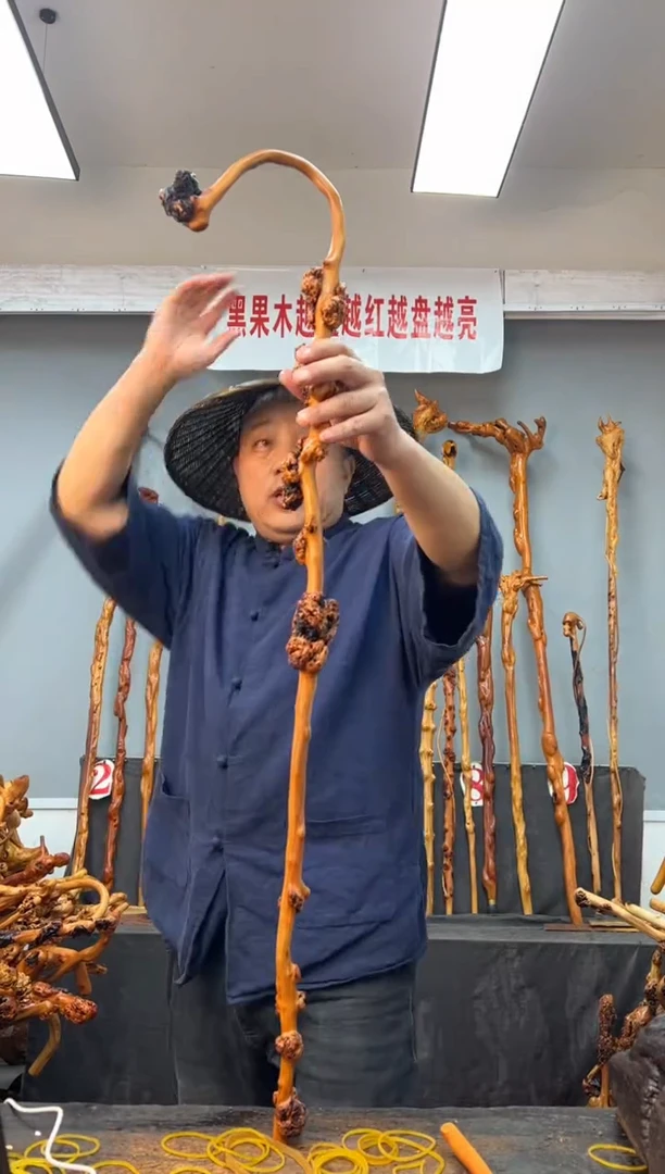 【闪购商品】黑果木其他黑果木426