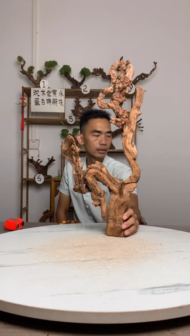 善**生鱼缸造景沉木摆件