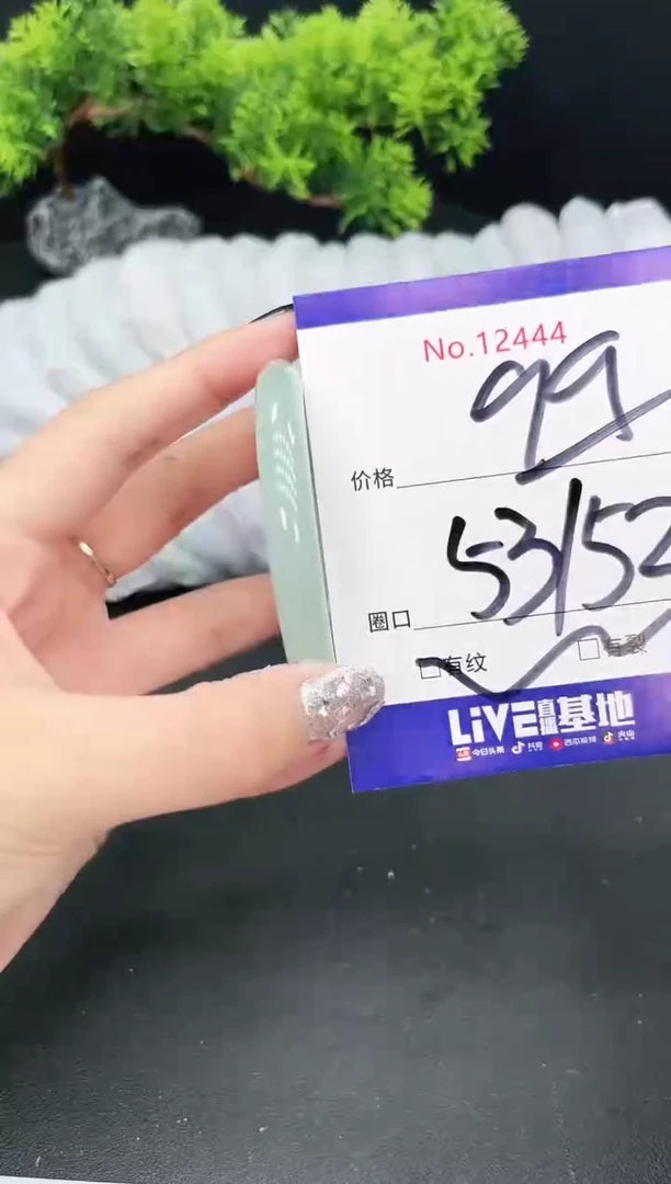 未镶嵌手镯翡翠12444