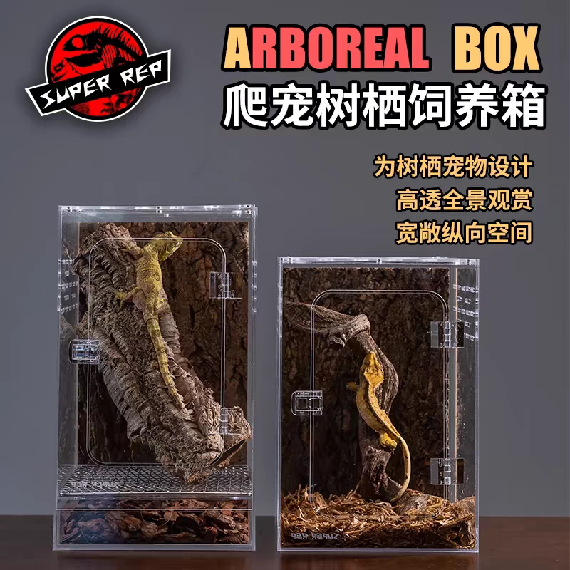 SuperRep爬虫亚克力饲养盒宠物箱蜘蛛守宫角蛙甲虫蚕宝宝蛇爬宠箱