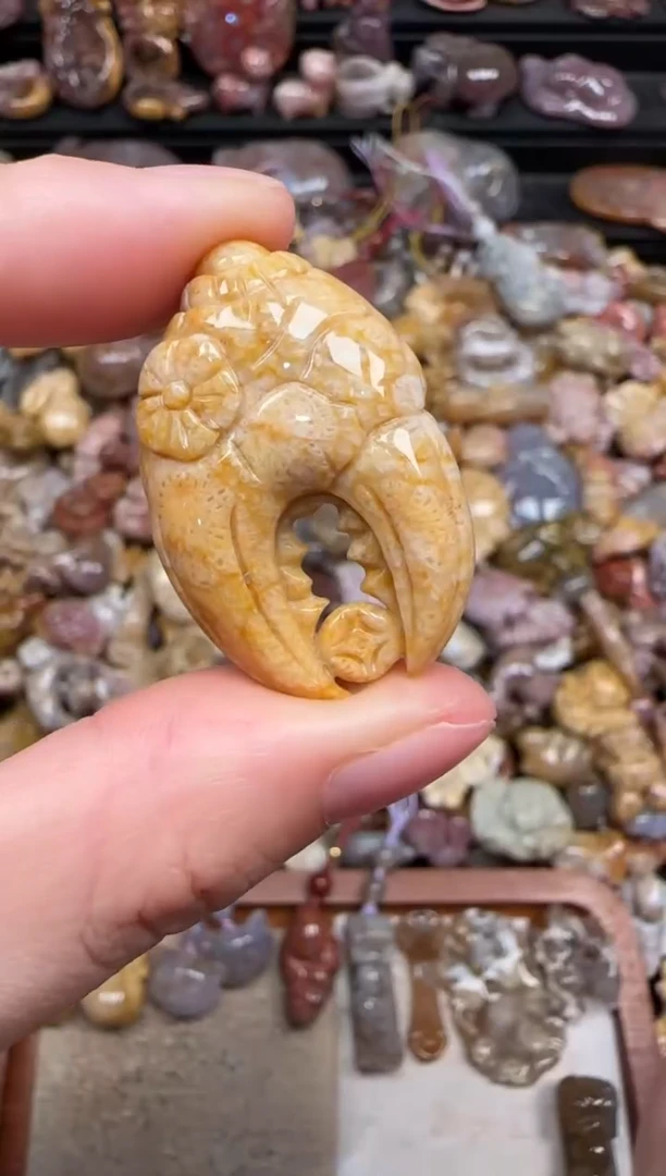 颈饰未镶嵌硅化珊瑚（珊瑚玉）127