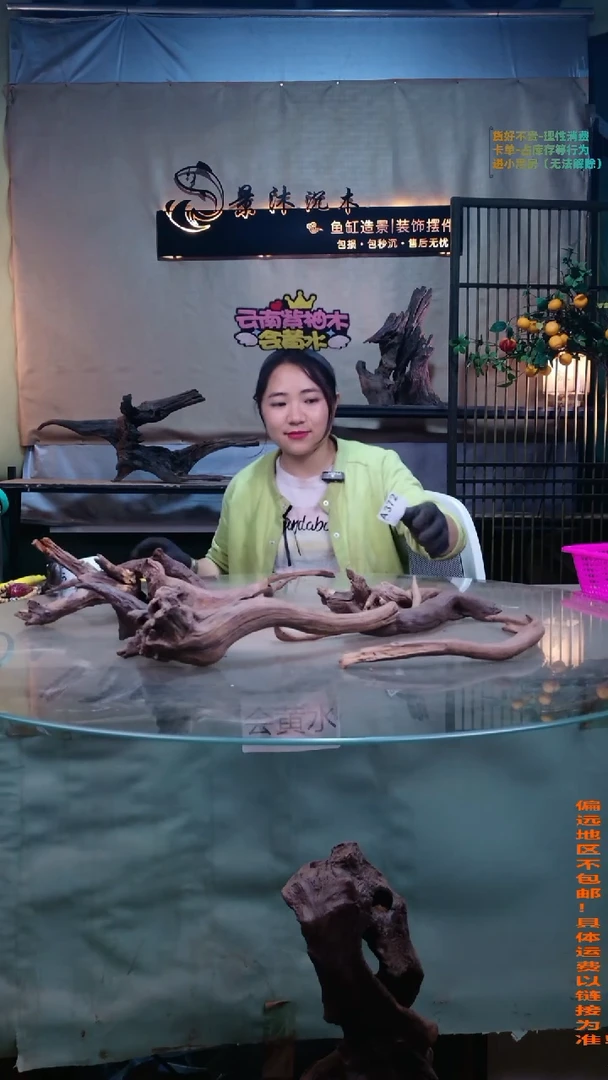 摆件景沐沉木A372景沐沉木A372