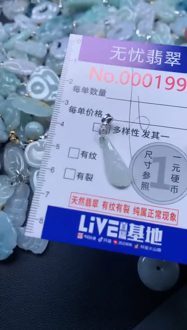 颈饰未镶嵌翡翠1993