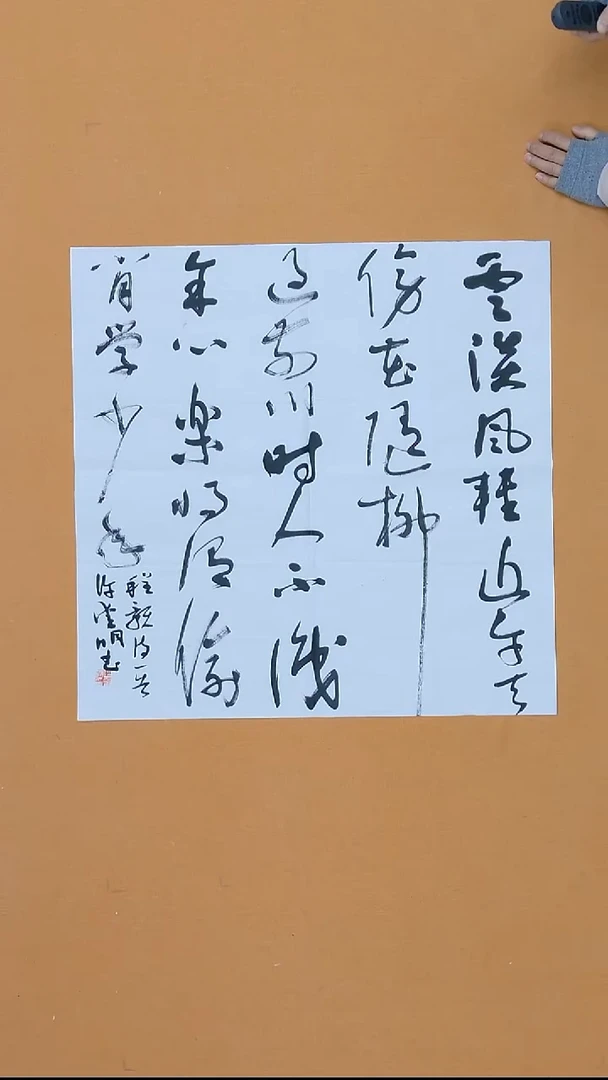 书法许爱明  江苏  两届届展 第四届新人新作  68*68