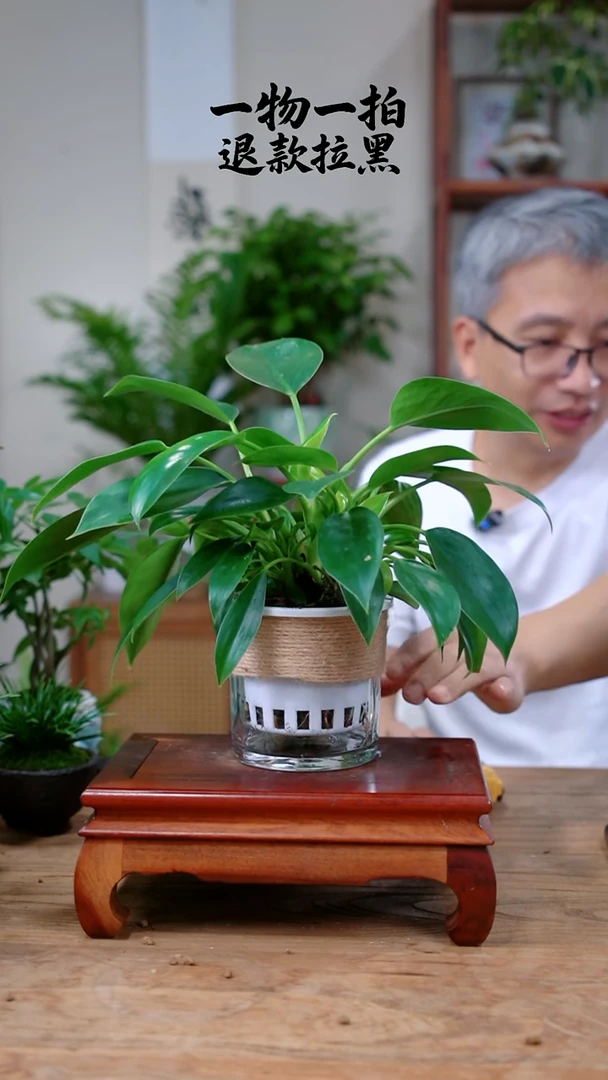 完全开放心金钻448