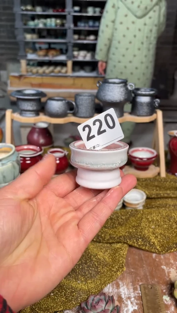 【闪购商品】摆件220知木小芳花盆直播编号