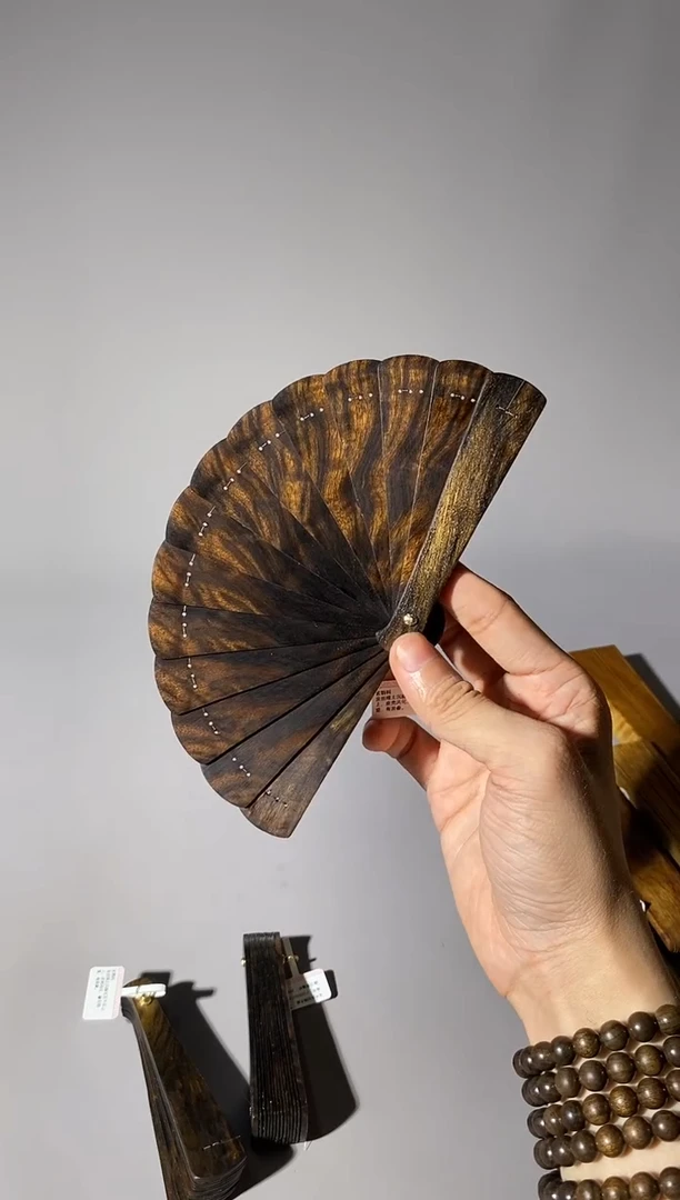金丝楠洼101号10cm小叶桢楠掌中扇