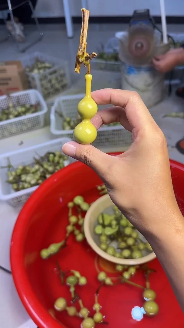 牛***包文玩葫芦摆件手把件天津嘴