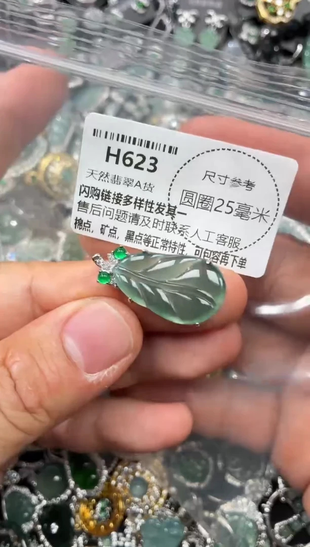 翡翠未镶嵌颈饰H623吊坠