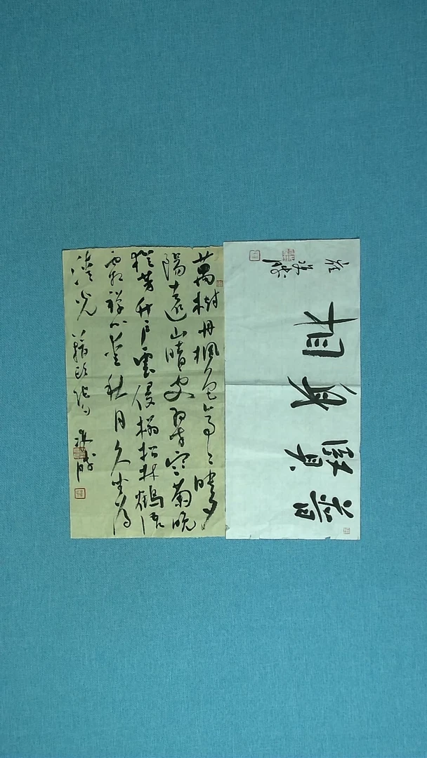 【闪购商品】书法121 捡漏崔双胜中书协46*25