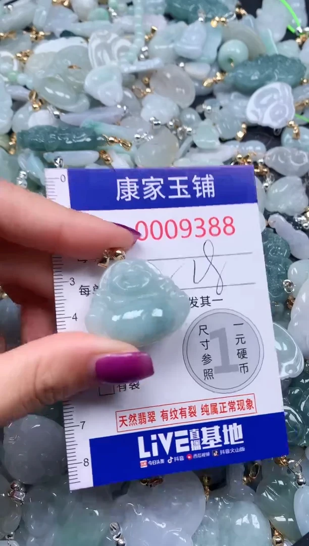 颈饰未镶嵌翡翠9388