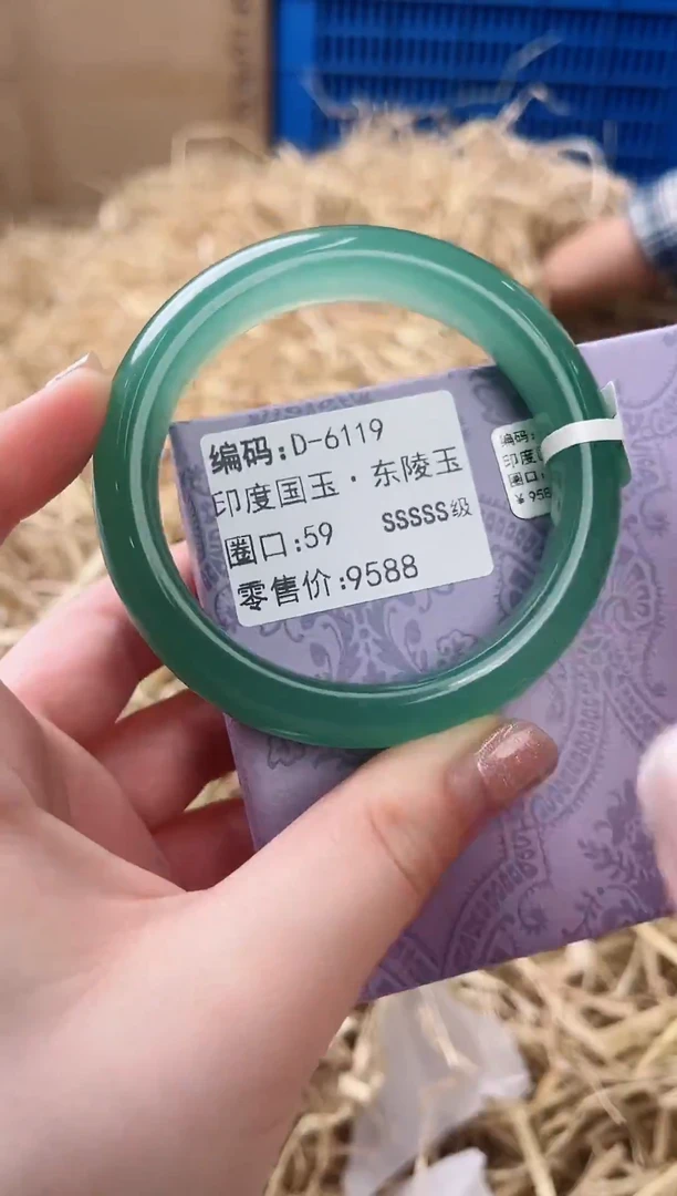 未镶嵌手镯石英质玉D-6119