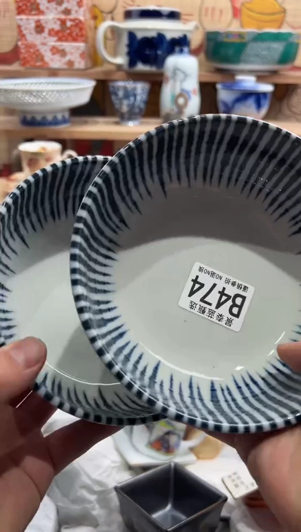 瓷片          B474
